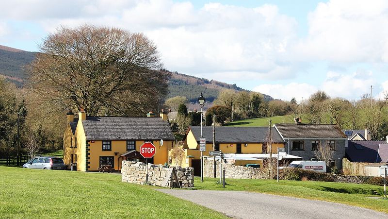 Yellow cottages and a green in St Mullins, with wooded hills behind