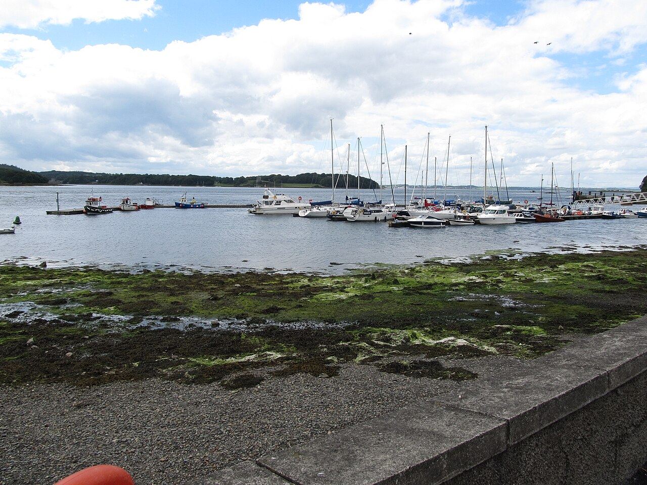 Yachts and motor boats moored at Portaferry marina on Strangford Lough, seaweed on the shore in front