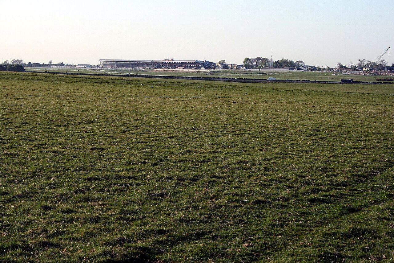 Open grassland of the Curragh with the racecourse grandstand low on the horizon
