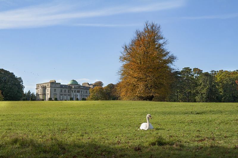 Emo Court seen across open parkland, with an autumn tree and a swan on the grass
