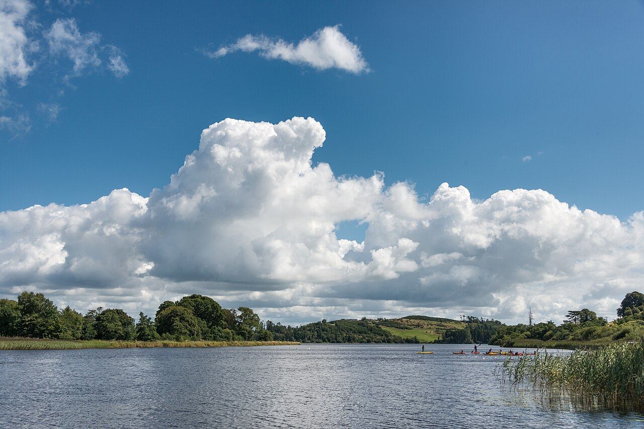 Lough Muckno under a big cumulus cloud, with reeds in the foreground and wooded shore beyond