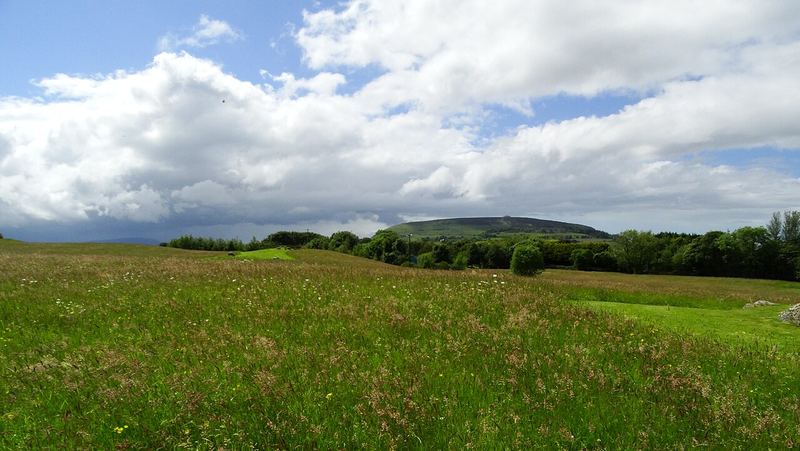 Long grass at Carrowmore with Knocknarea on the skyline